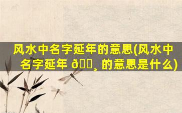 风水中名字延年的意思(风水中名字延年 🌸 的意思是什么)